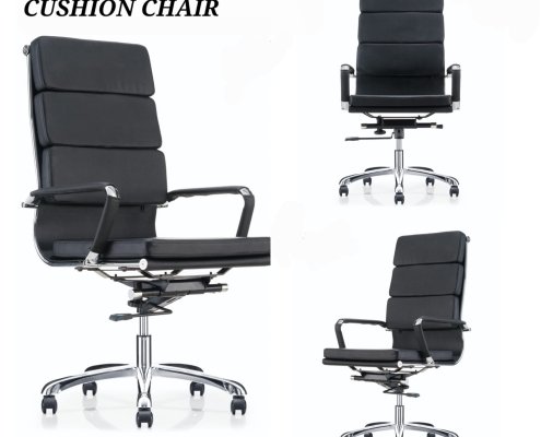 SLEEK DOUBLE CUSHION CHAIR